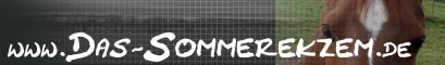 Banner Logo das-sommerekzem.de